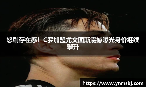 BB贝博艾佛森