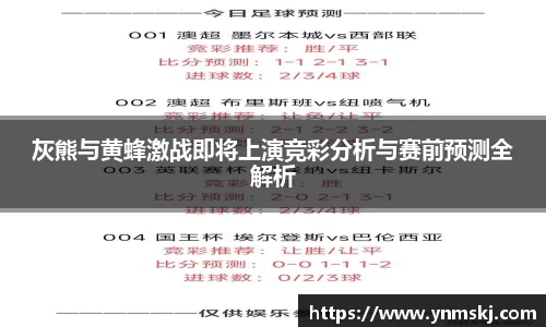 灰熊与黄蜂激战即将上演竞彩分析与赛前预测全解析