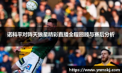 诺科平对阵天狼星精彩直播全程回顾与赛后分析
