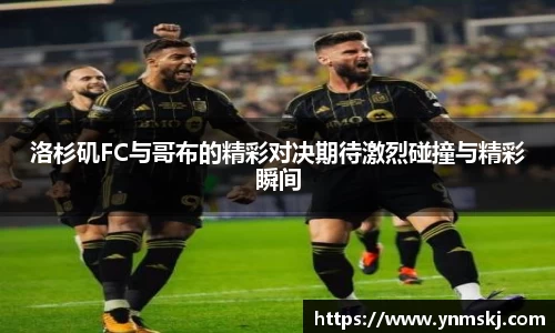 BB贝博ballbet