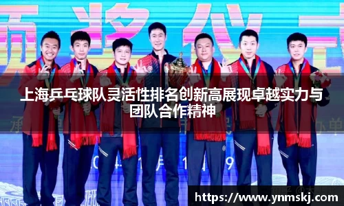 上海乒乓球队灵活性排名创新高展现卓越实力与团队合作精神