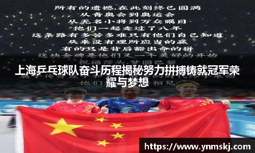 上海乒乓球队奋斗历程揭秘努力拼搏铸就冠军荣耀与梦想