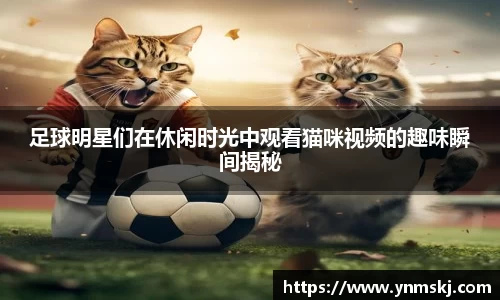 足球明星们在休闲时光中观看猫咪视频的趣味瞬间揭秘
