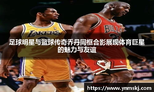 BB贝博登录入口